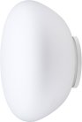 Настенно-потолочный светильник Fabbian F07G2101 Lumi