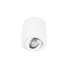 Накладной светильник Loft IT 10340/B White Unit