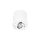 Накладной светильник Loft IT 10340/B White Unit