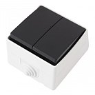 Выключатель двухклавишный, 10AX 250V Arte Milano 309.30-2.grey am