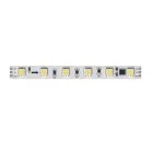 Светодиодная лента 24V 14,4W/m 4200К 5м Arte Lamp A2406010-04-4K SPI