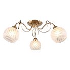 Люстра потолочная Omnilux OML-24907-03 Grosotto