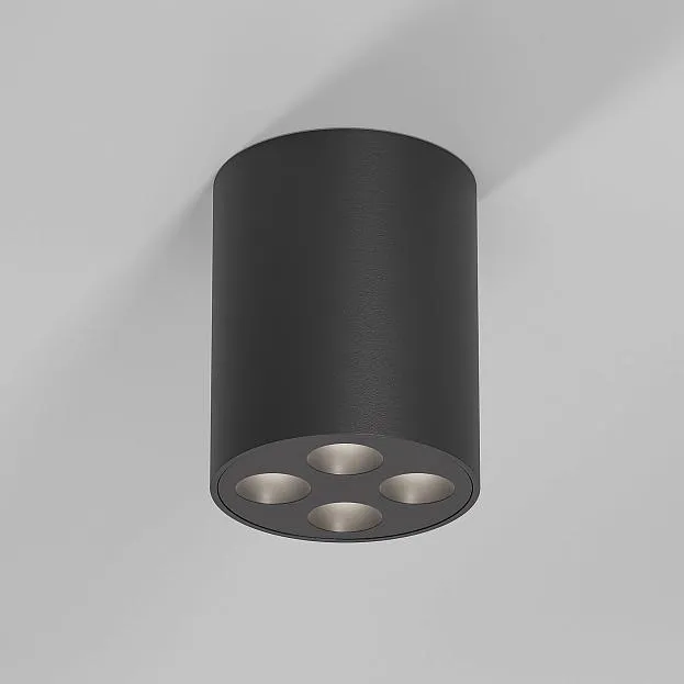 Потолочный акцентный светильник Elektrostandard 25111/LED Points a067485