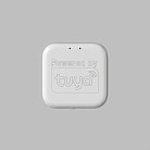 WIFI конвертер Denkirs DK7400-WF Smart control