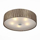 Светильник потолочный ST LUCE SL357.702.05 RONDELLA