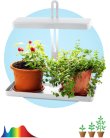 Светильник для растений ЭРА FITO-20W-QLED-W