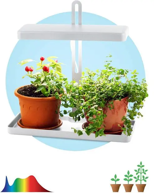 Светильник для растений ЭРА FITO-20W-QLED-W