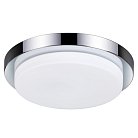 Светильник влагозащищенный Odeon Light 2746/3C Holger