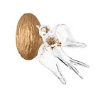 Бра Loft IT 10378W Voa