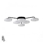 Люстра потолочная Lumion 8236/6CL DIDANA