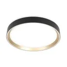 Светильник с пультом Чёрный Золотом Citilux CL751351G BOSS