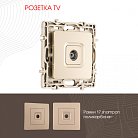 Розетка TV 217 Arte Milano.43-1.shampan am