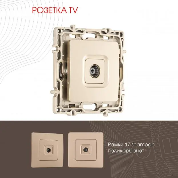 Розетка TV 217 Arte Milano.43-1.shampan am Розетка TV 217 Arte Milano.43-1.shampan am