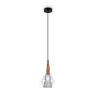 Подвесной светильник Freya FR5133PL-01GR Copita