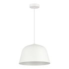 Светильник подвесной Evoluce SLE1805-503-01 BLANK