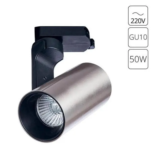 Светильник Потолочный Arte Lamp A2668PL-1SS BUCHO Светильник Потолочный Arte Lamp A2668PL-1SS BUCHO