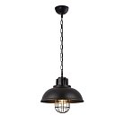 Подвесной светильник Vele Luce VL6202P01 Levi 2264