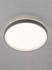 Светильник с пультом Серый + Белый Citilux CL753453G ENZO