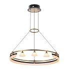 Подвесная светодиодная люстра Citilux CL211062 HELLY