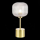 Настольная лампа ST Luce SL1154.314.01 GRAN