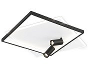 Настенно-потолочный светодиодный светильник с пультом Ambrella light FL5138 COMFORT