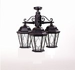 Потолочный светильник уличный Oasis Light 91470MA/3 Bl овал ASTORIA 2M