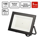 Прожектор уличный ЭРА LPR-062-0-65K-070