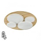 Потолочный светильник Sonex 7734/60L PINE