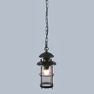 Уличный светильник подвесной L'Arte Luce L70901.07 Battista