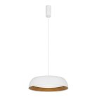 Светильник подвесной Белый, Древесный/белая LED 1*30W 4000K Evoluce SLE1812-503-01 MUSE