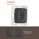 Розетка USB 2.1А+1А Arte Milano 205.46-1.black am