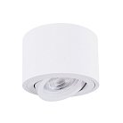 Потолочный светильник Arte Lamp A2260PL-1WH UNITO