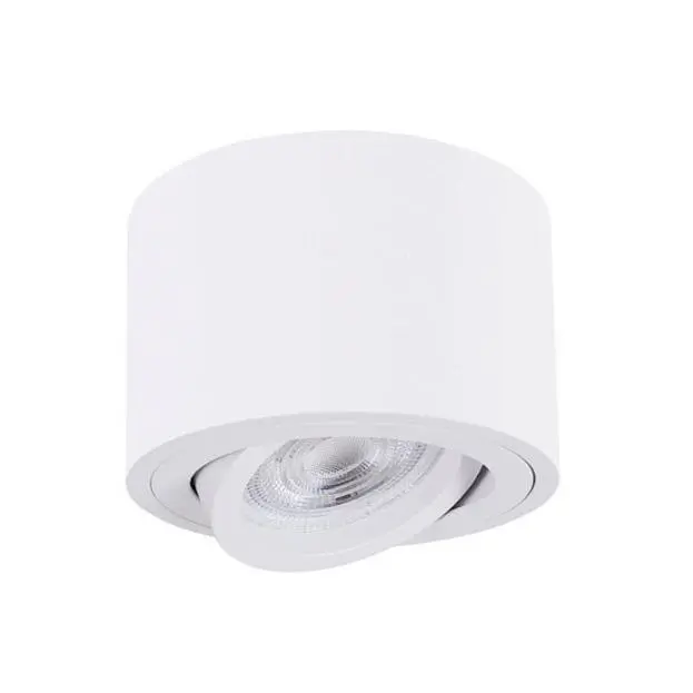 Потолочный светильник Arte Lamp A2260PL-1WH UNITO Потолочный светильник Arte Lamp A2260PL-1WH UNITO