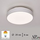 Потолочный светильник APL LED 3315.XM302-1-267/12W/3K White TD Toscana