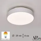Потолочный светильник APL LED 3315.XM302-1-267/12W/3K White TD Toscana