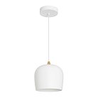Подвесной светильник Arlight 039548 Peony