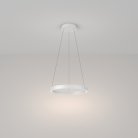 Подвесной светильник Maytoni MOD058PL-L22W4K Rim