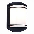 Светильник уличный настенный ST LUCE SL076.401.01 AGIO