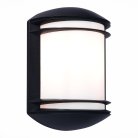 Светильник уличный настенный ST LUCE SL076.401.01 AGIO