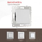 Выключатель одноклавишный, 10AX 250V Arte Milano 203.30-1.silver am