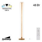 Торшер светодиодный с пультом Citilux CL213921 FANNY
