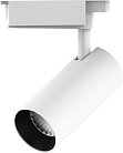 Трековый светильник Gauss TR066 Track Light Led