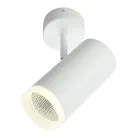 Светильник настенно-потолочный Omnilux OML-102609-20 Maratea