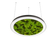 Подвесной светодиодный светильник, 54Ватт,  D-600мм Donolux dl600s54nw moss black Aura Moss