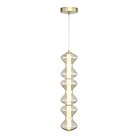 Светильник подвесной ST Luce SL6136.213.01 SPINE