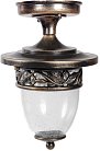 Потолочный светильник уличный Oasis Light 87205SA Gb KRAKOV 1 S