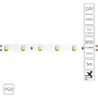 Светодиодная лента 24V 4,8W/m 6500К 5м Arte Lamp A2406008-03-6K TAPE