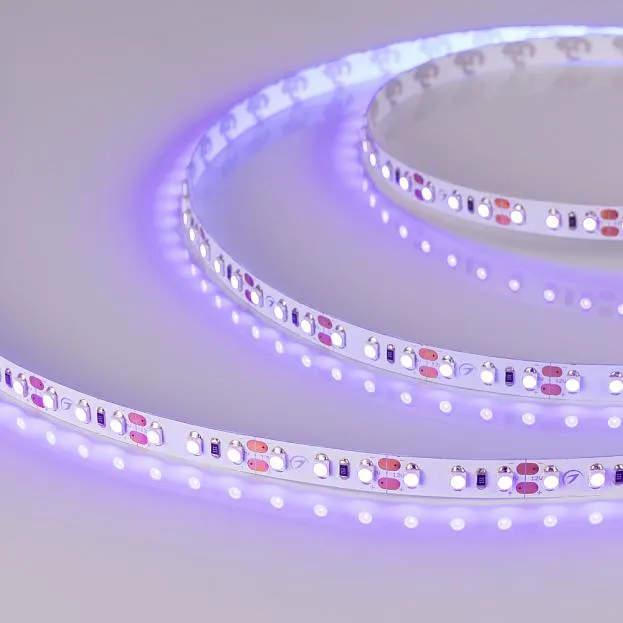 Светодиодная лента Arlight 012812(2) A120 Светодиодная лента Arlight 012812(2) A120