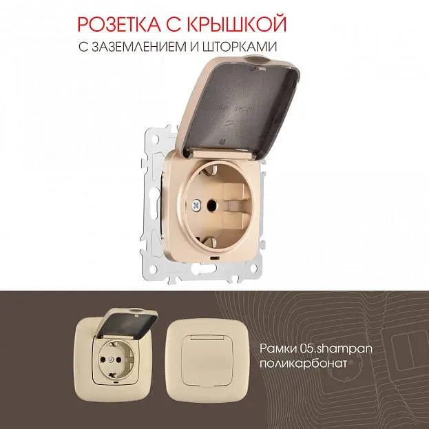 Розетка Arte Milano 205.41-1.shampan am Розетка Arte Milano 205.41-1.shampan am