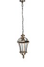 Уличный светильник подвесной Oasis Light 95205L Gb